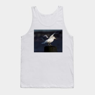 Gull in the Spotlight Tank Top